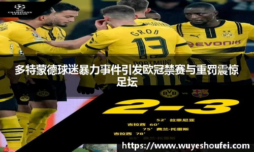 多特蒙德球迷暴力事件引发欧冠禁赛与重罚震惊足坛