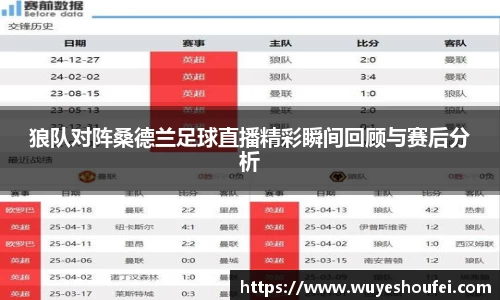 狼队对阵桑德兰足球直播精彩瞬间回顾与赛后分析